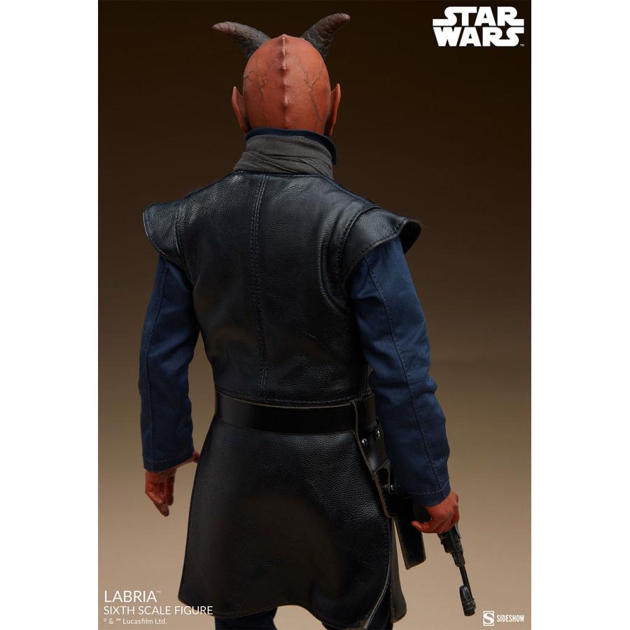 スター・ウォーズ 1/6スケールフィギュア スカム&ヴィラニー スター・ウォーズ 1/6スケールフィギュア スカム&ヴィラニー