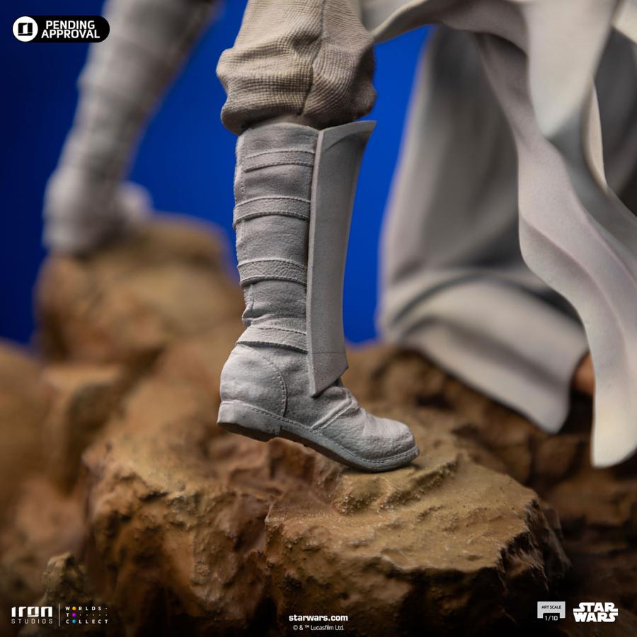 スター・ウォーズ デラックス・アートスケール 1/10スケール ルーク
