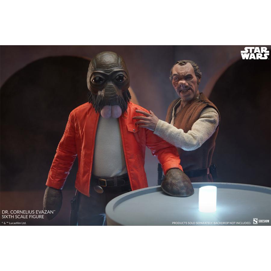 スター・ウォーズ 1/6スケールフィギュア スカム＆ヴィラニー・オブ