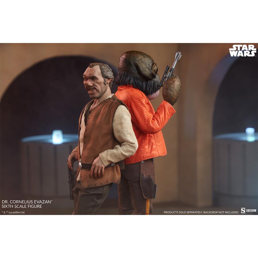 スター・ウォーズ 1/6スケールフィギュア スカム＆ヴィラニー・オブ