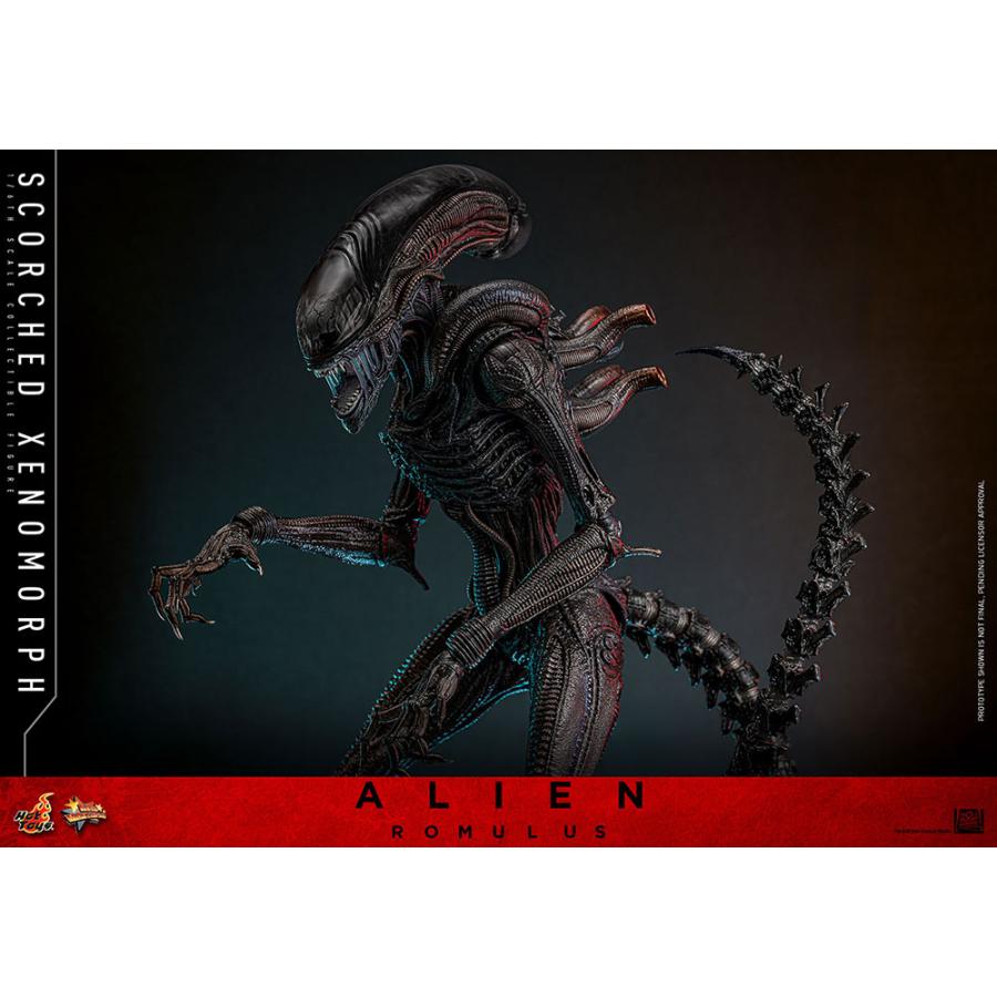 ムービー・マスターピース エイリアン:ロムルス スコーチド・ゼノモーフ ムービー・マスターピース】『エイリアン：ロムルス』1/6スケール