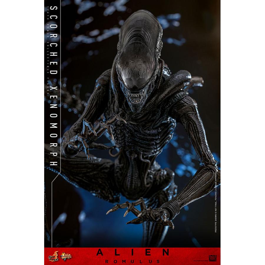 ムービー・マスターピース エイリアン：ロムルス 1/6スケール