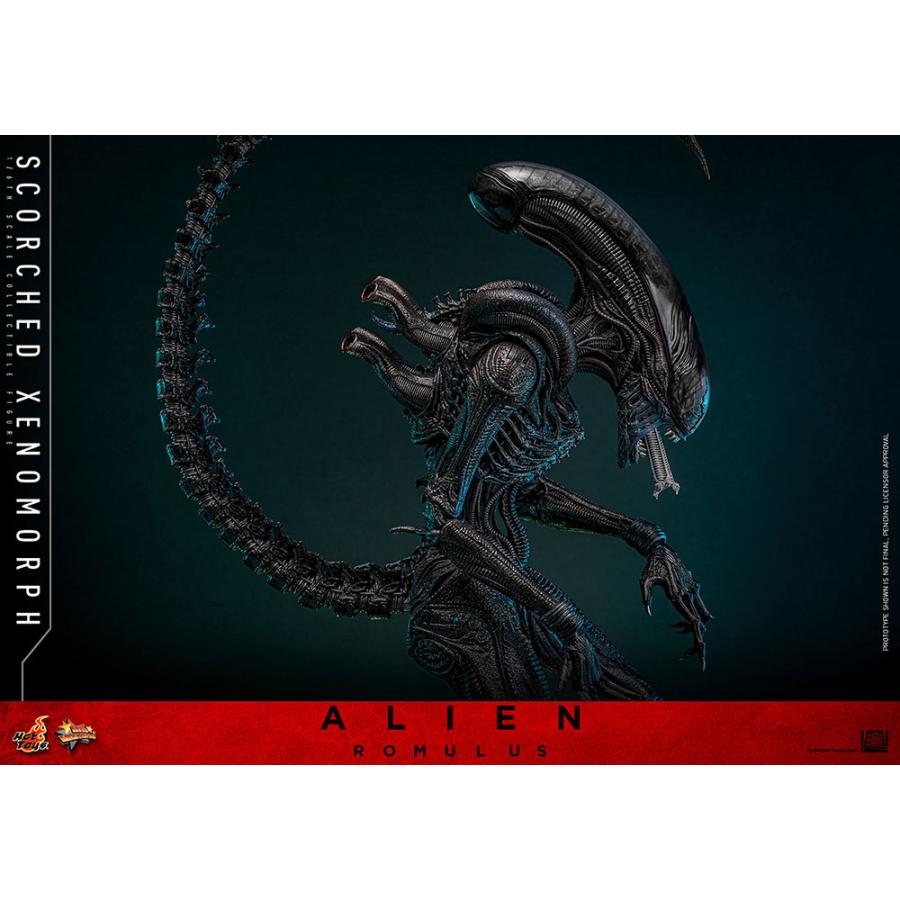 ムービー・マスターピース エイリアン：ロムルス 1/6スケール