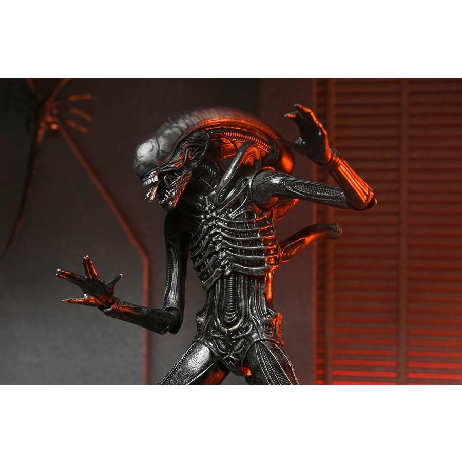 NECA エイリアンロムルスXX121 訳あり品 エイリアン:ロムルス/ ゼノモーフXX121 アルティメット 7インチ
