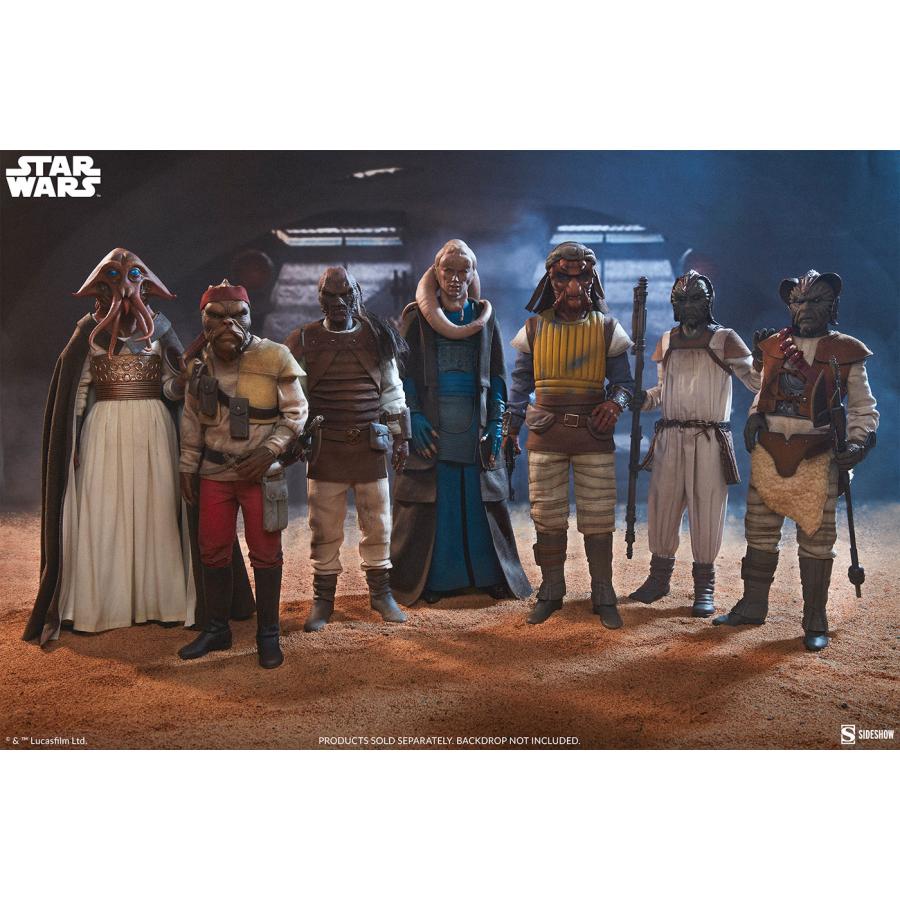 スター・ウォーズ 1/6スケールフィギュア スカム＆ヴィラニー