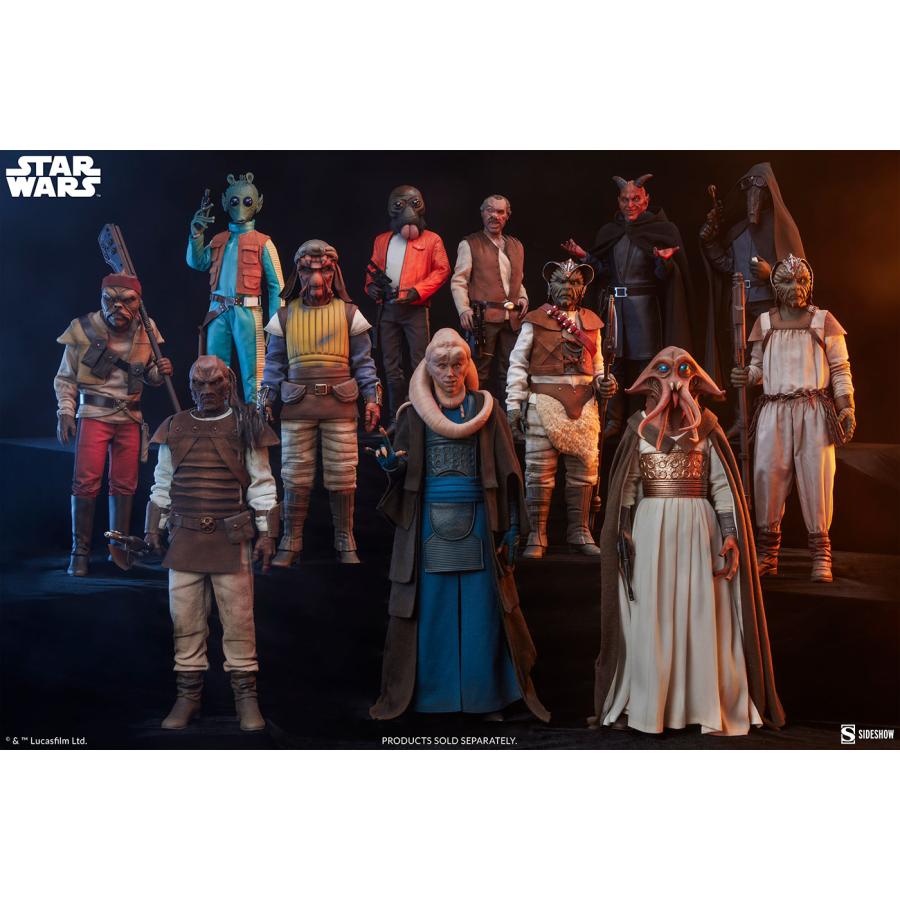 スター・ウォーズ 1/6スケールフィギュア スカム＆ヴィラニー