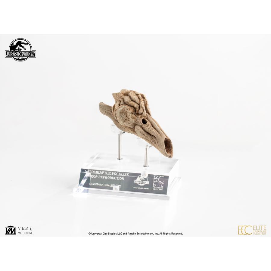 ジュラシック・パークIII 1/1スケール プロップリプロダクション