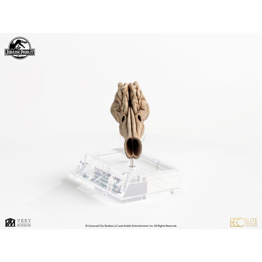 ジュラシック・パークIII 1/1スケール プロップリプロダクション