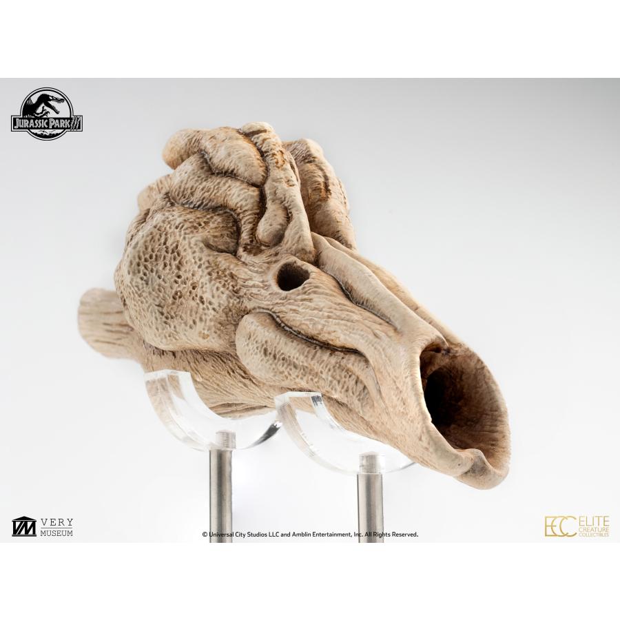 ジュラシック・パークIII 1/1スケール プロップリプロダクション