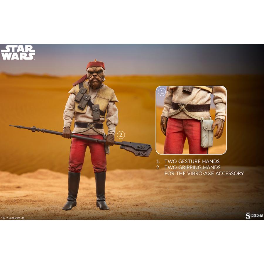スター・ウォーズ　1/6スケールフィギュア スカム＆ヴィラニー・オブ・スター・ウォーズ　キサーバ【予約】_12