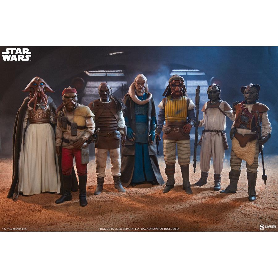 スター・ウォーズ　1/6スケールフィギュア スカム＆ヴィラニー・オブ・スター・ウォーズ　キサーバ【予約】_14