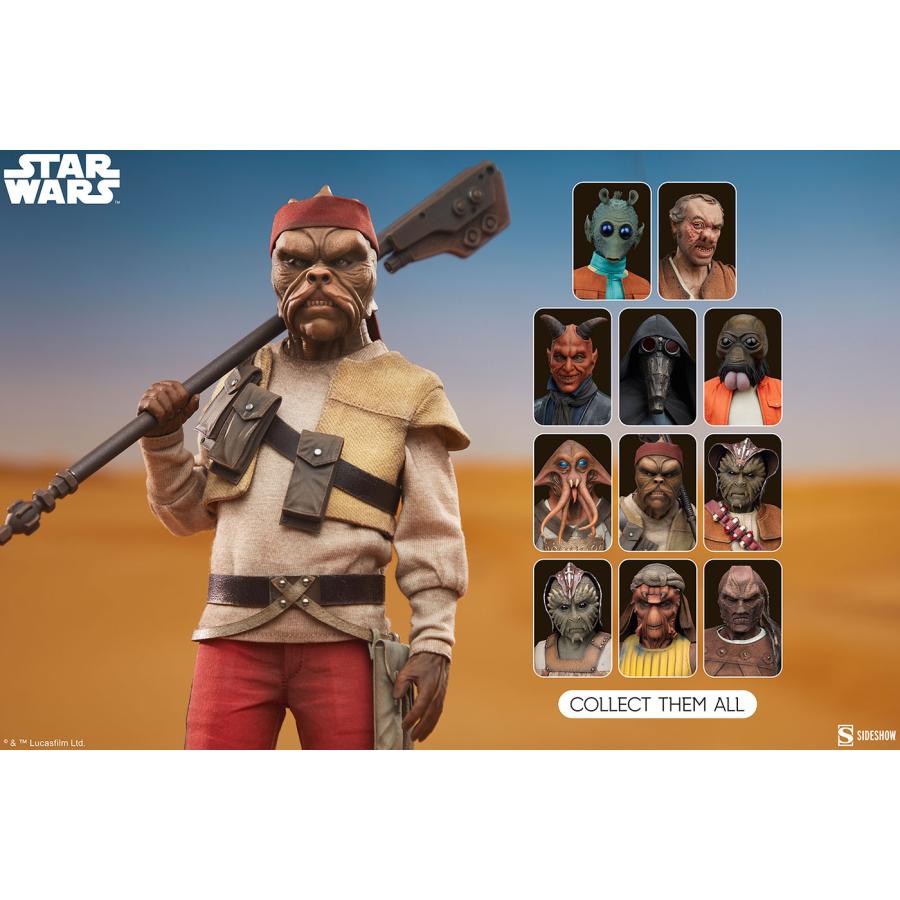 スター・ウォーズ　1/6スケールフィギュア スカム＆ヴィラニー・オブ・スター・ウォーズ　キサーバ【予約】_16