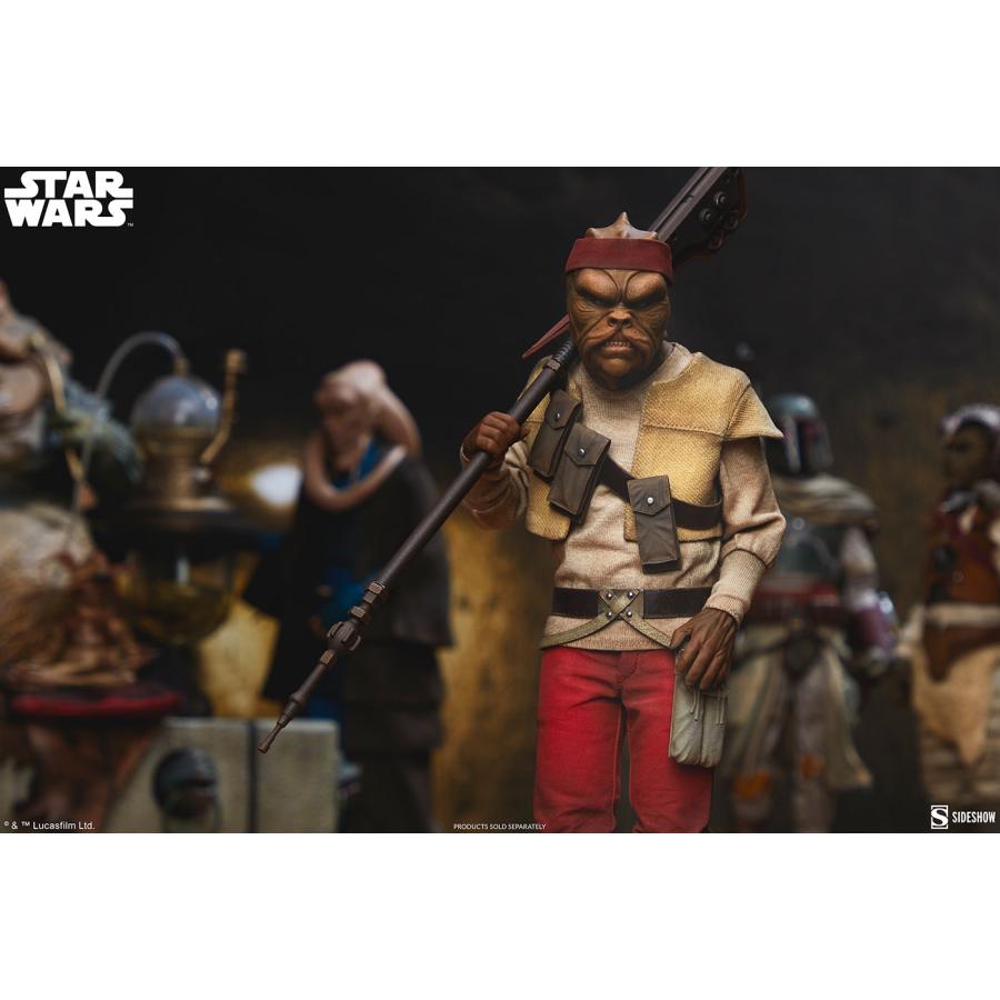 スター・ウォーズ　1/6スケールフィギュア スカム＆ヴィラニー・オブ・スター・ウォーズ　キサーバ【予約】_1
