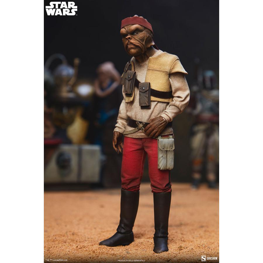 スター・ウォーズ　1/6スケールフィギュア スカム＆ヴィラニー・オブ・スター・ウォーズ　キサーバ【予約】_4
