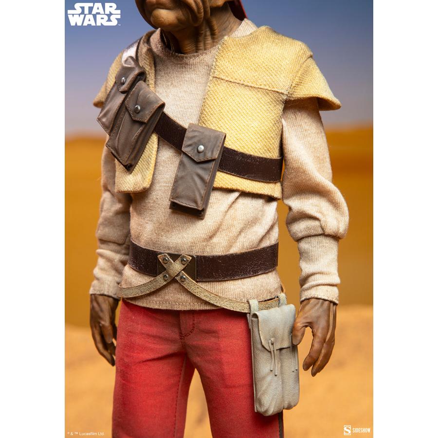 スター・ウォーズ　1/6スケールフィギュア スカム＆ヴィラニー・オブ・スター・ウォーズ　キサーバ【予約】_7