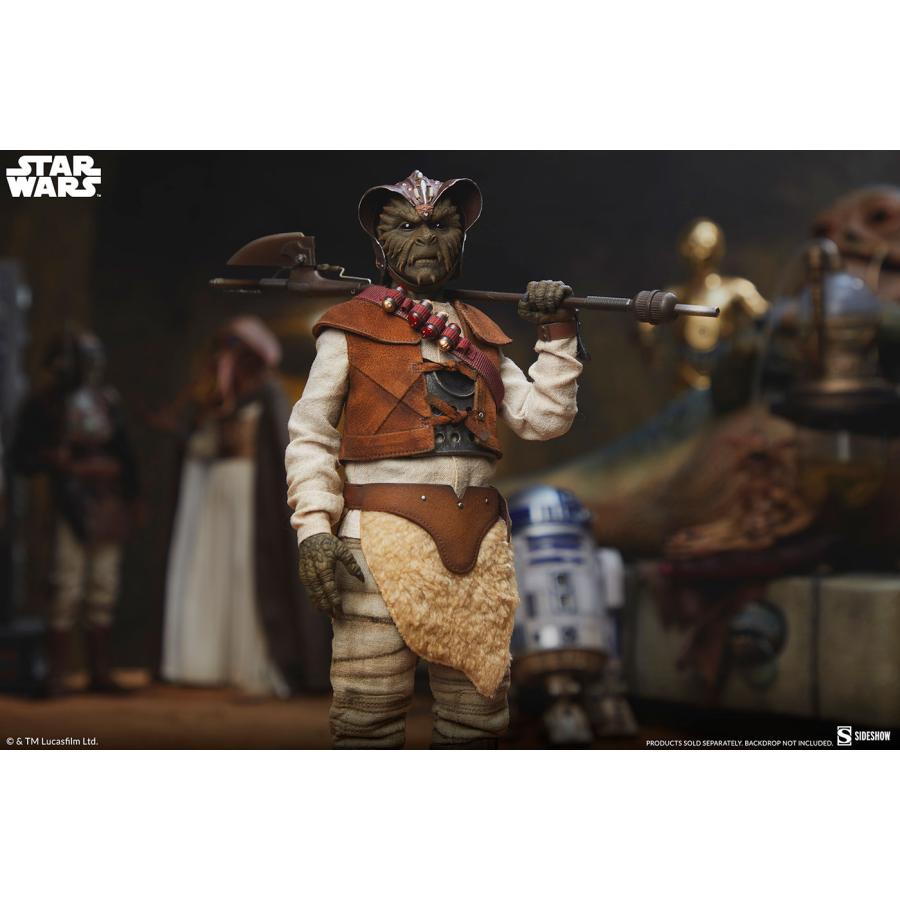 スターウォーズ 1/6スケールフィギュア スカム＆ヴィラニー・オブ
