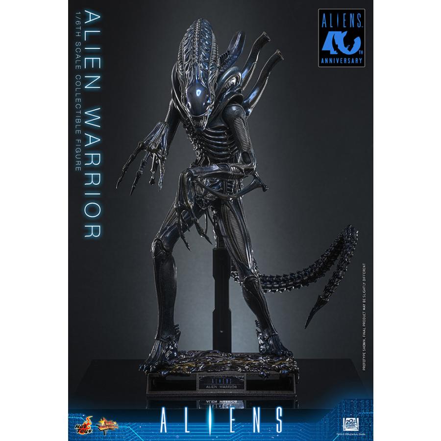 THREE-B/ AVP2: エイリアン ウォーリアー フィギュア 2体セット THREE-B/ AVP2: エイリアン ウォーリアー フィギュア 2体セット