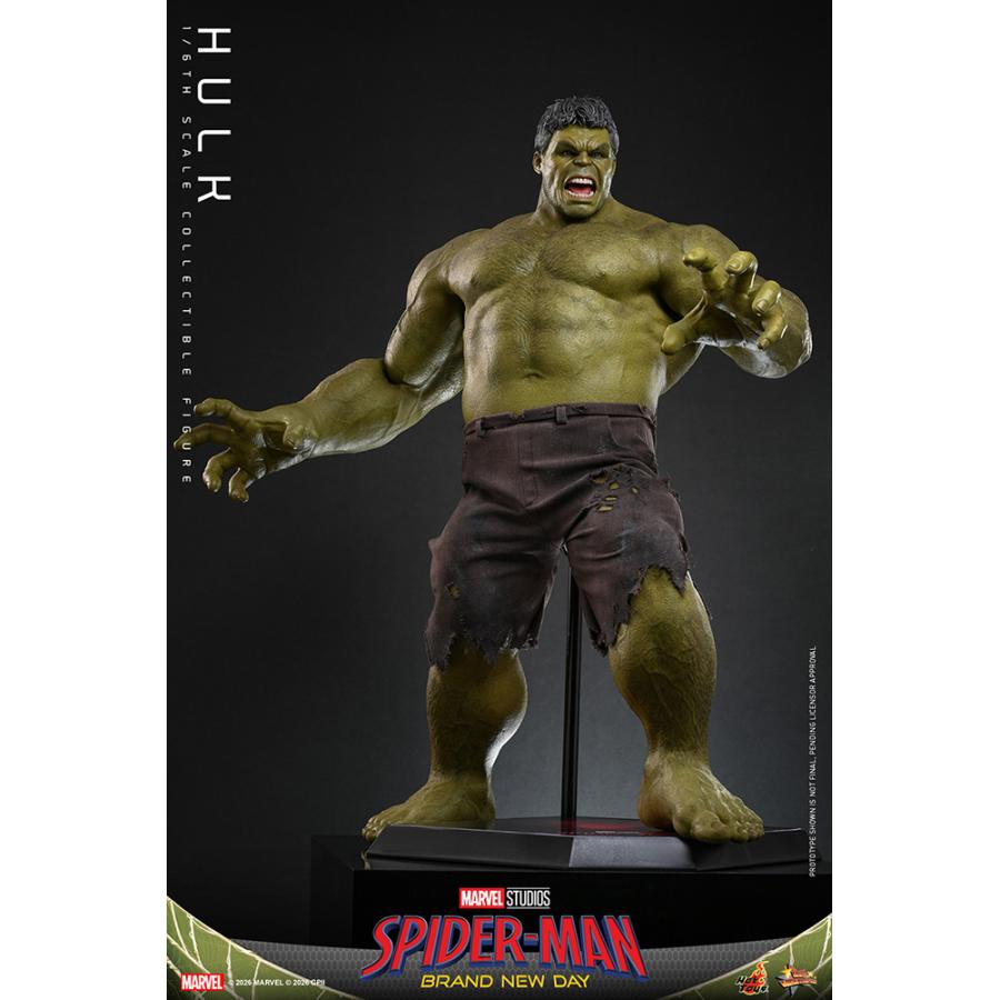 ムービー・マスターピース スパイダーマン：ブランド・ニュー・デイ 1