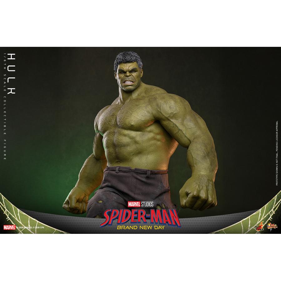 ムービー・マスターピース スパイダーマン：ブランド・ニュー・デイ 1