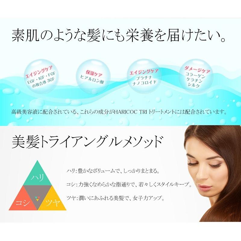 シャンプー RK HARICOC ノンシリコンシャンプー HARICOC（ハリコシ）RK