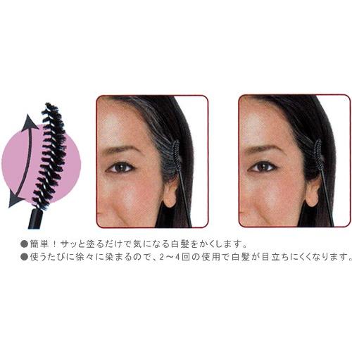 ラッチェ カラーオンリタッチ マスカラ式の はえぎわ白髪染め 15ｍｌ 美容室専売品 H ハリコットプティ本店 通販 Yahoo ショッピング