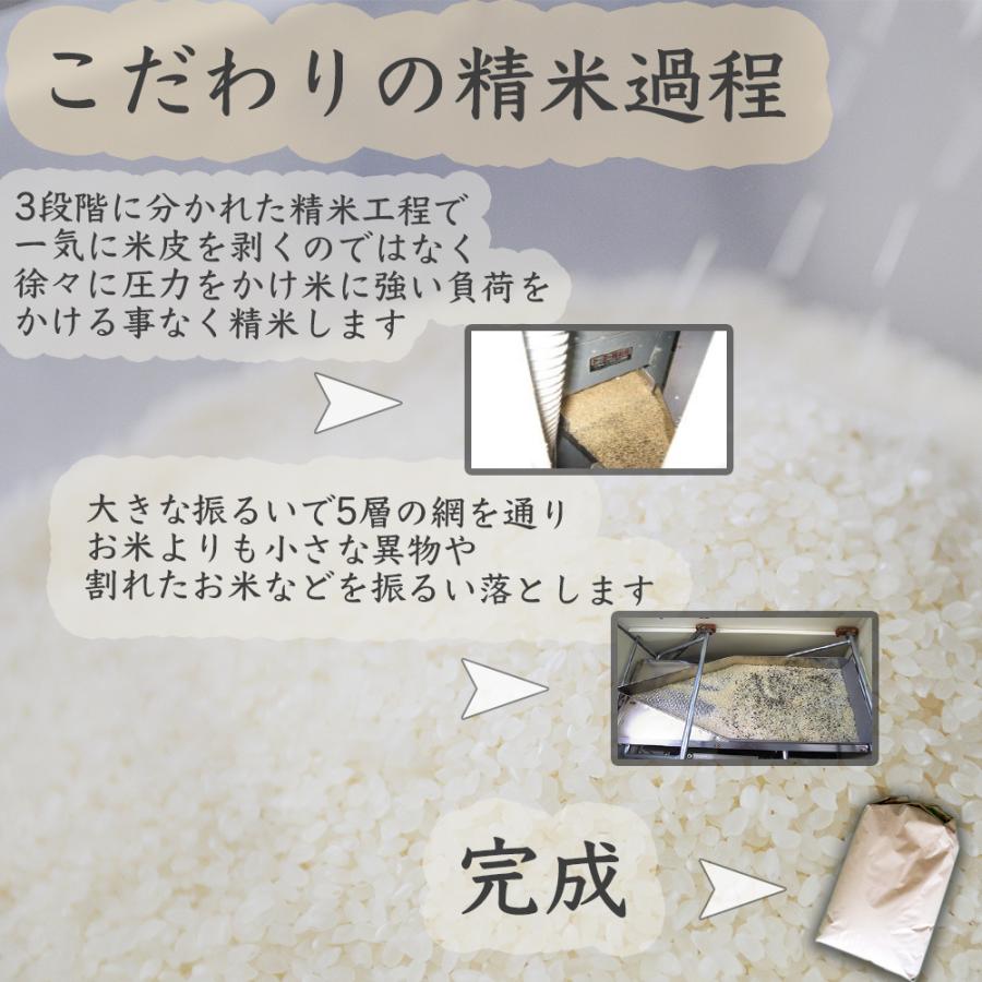 国産 国内産ごはん通 10kg 白米 米 ごはん ブレンド米 産地直送