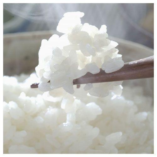 令和7年産 白米 米 5kg コシヒカリ 茨城県産 黄門米 タツミ米穀 令和7