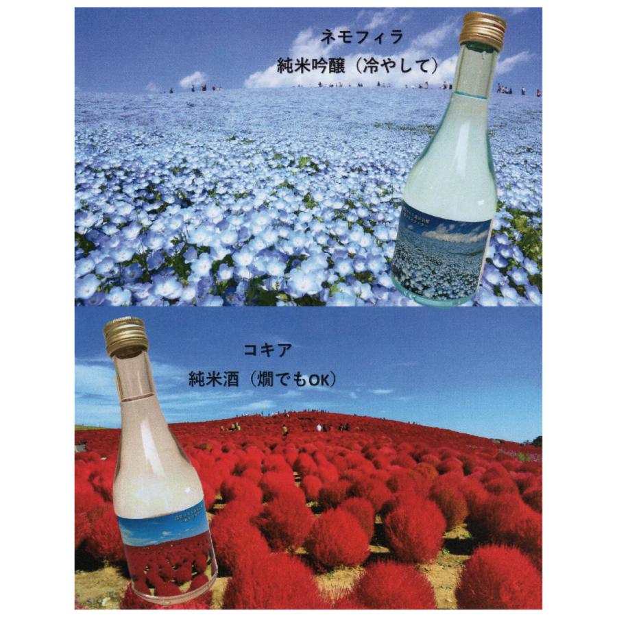 茨城 松盛 国営ひたち海浜公園ラベルセット 300ml×2本 ネモフィラ 純米