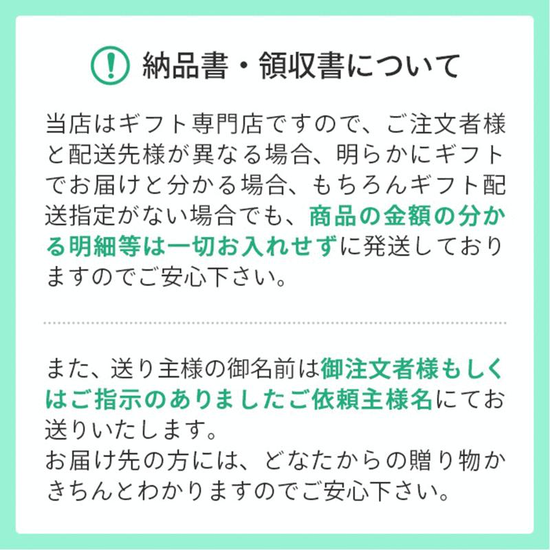 NANOXonePROギフト ライオン SE4-260-1 内祝 結婚祝い お歳暮 香典返し 敬老の日 七五三 両親｜harika2goutenn｜05