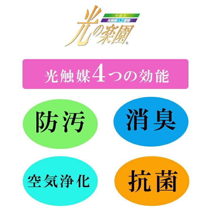 光触媒 ツインコチョウラン SE5-181-4 内祝 結婚祝い 香典返し  プレゼント 成人式の画像