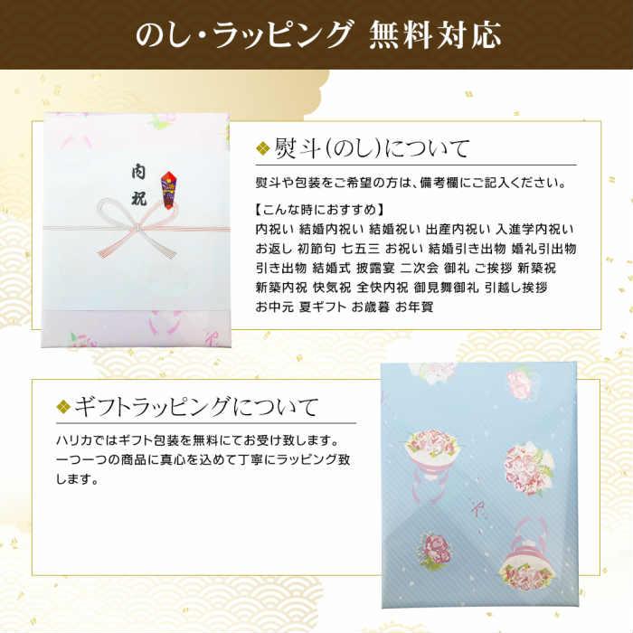 光触媒 ツインコチョウラン SE5-181-4 内祝 結婚祝い 香典返し  プレゼント 成人式の画像