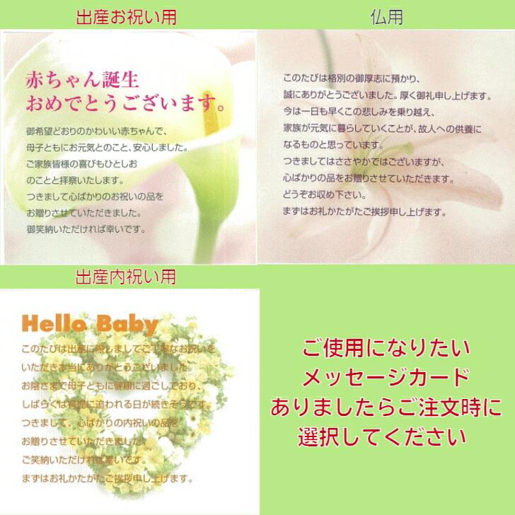 光触媒 ツインコチョウラン SE5-181-4 内祝 結婚祝い 香典返し  プレゼント 成人式の画像