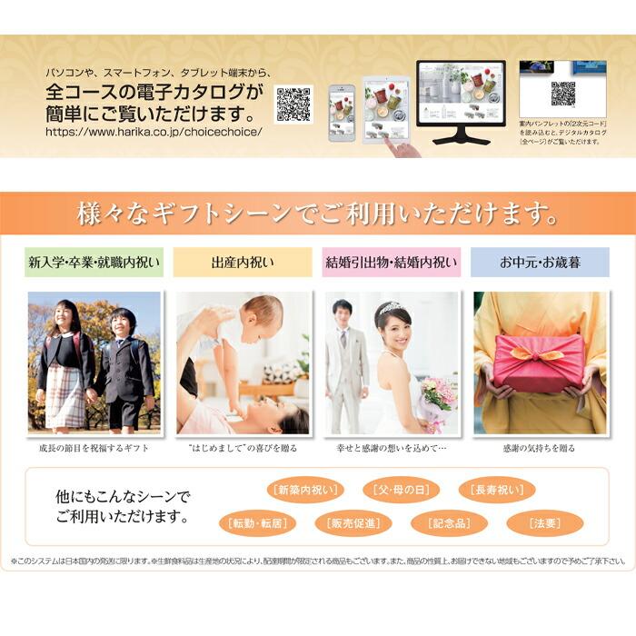 ハリカ×千趣会コラボ カタログギフト 4900円コース パキラ ギフト