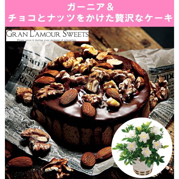 1650円 定番から日本未入荷 ガーニア チョコとナッツをかけた贅沢なケーキ