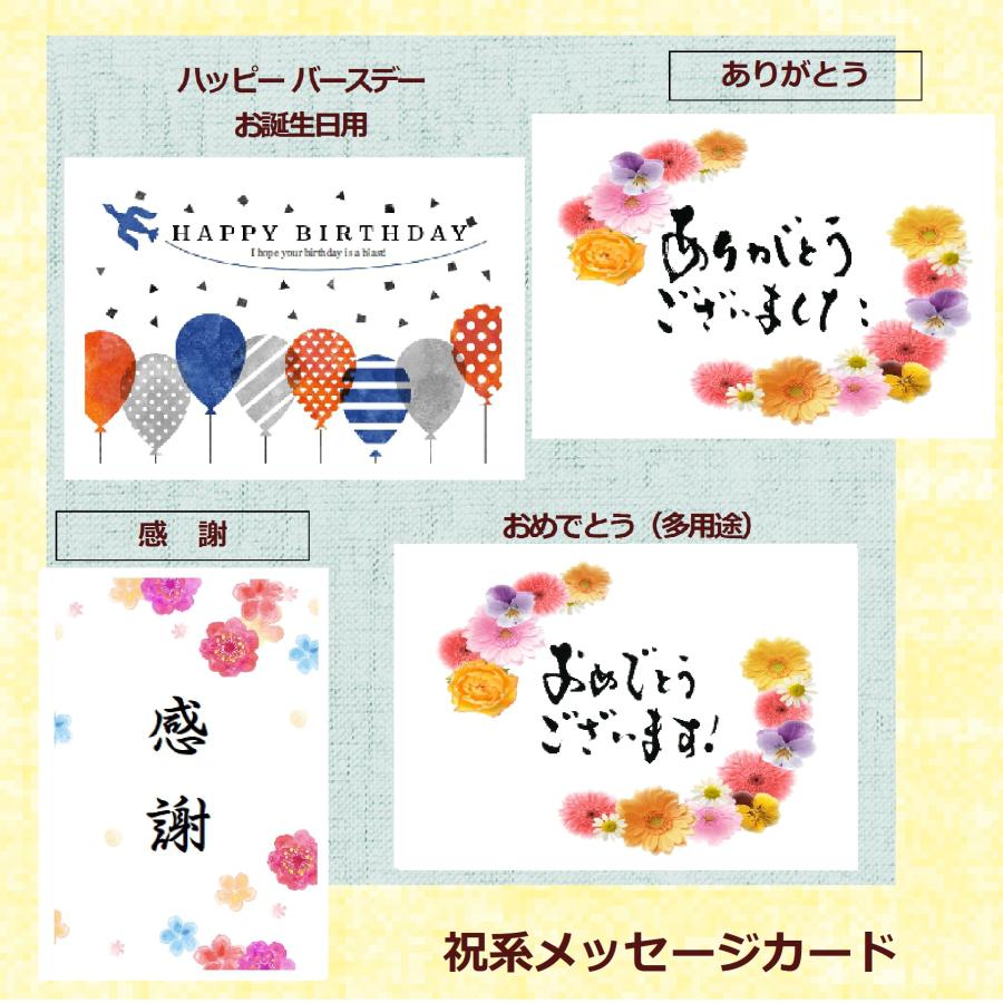 洗剤 ギフト 快気祝い 香典返し 法事 お返し 品物  ボールド 見舞い お礼 快気 結婚 出産 内祝い 引き出物 セット 洗濯用 人気 おしゃれ のし | ボールド | 10