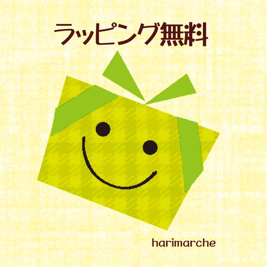洗剤 ギフト 快気祝い 香典返し 法事 お返し 品物  ボールド 見舞い お礼 快気 結婚 出産 内祝い 引き出物 セット 洗濯用 人気 おしゃれ のし | ボールド | 04