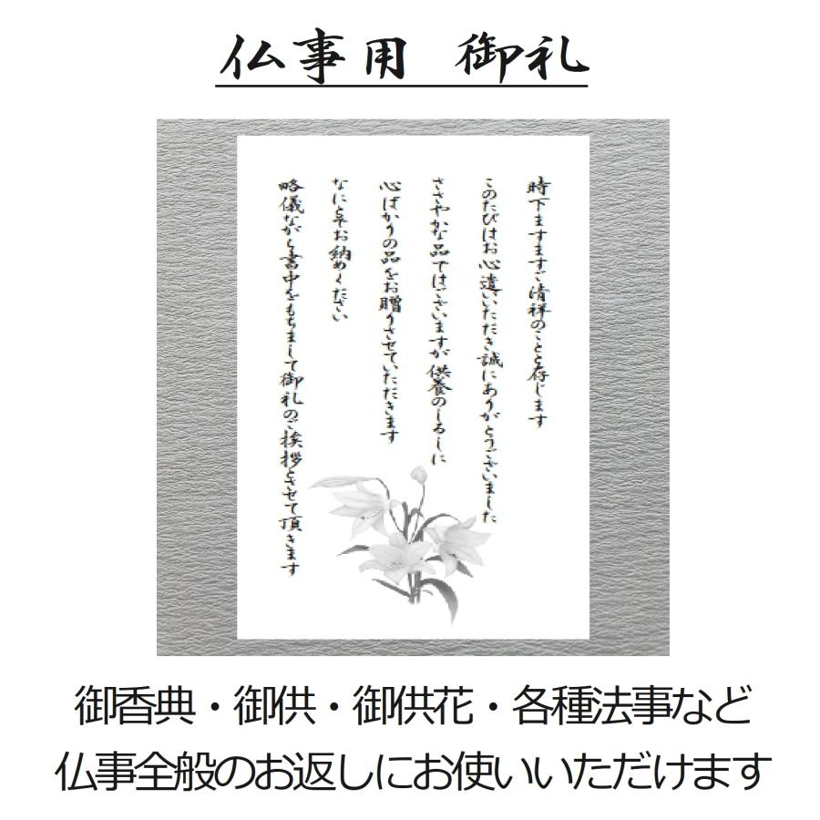 洗剤 ギフト 快気祝い 香典返し 法事 お返し 品物  ボールド 見舞い お礼 快気 結婚 出産 内祝い 引き出物 セット 洗濯用 人気 おしゃれ のし | ボールド | 09
