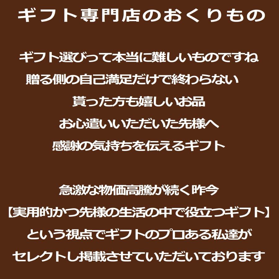 あいさつ回り 挨拶 ギフト 洗剤 引っ越し 工事 のし 包装 人気 法人 会社 企業 粗品 人気 ジョイ 10個 セット ご挨拶 おしゃれ_14