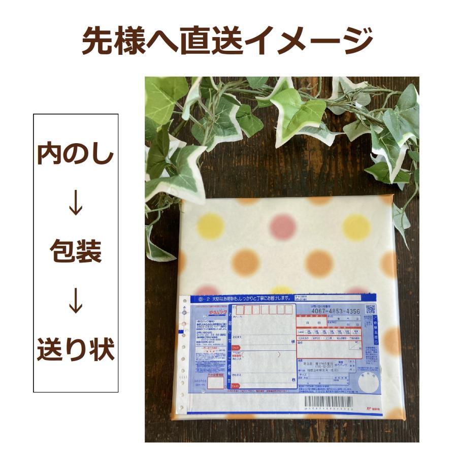 洗剤 ギフト 香典返し 法事の お返し 品物 快気祝い 内祝い お礼 人気 のし 志 アタック ゼロ 引き出物 見舞い セット 出産 | アタック | 18