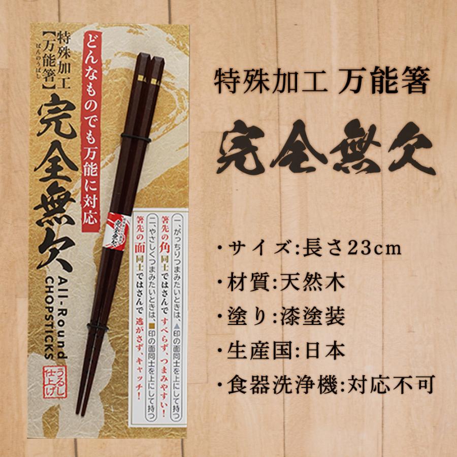 箸 すべらない 完全無欠 万能箸 漆 23cm お箸 はし 単品 日本製 特殊