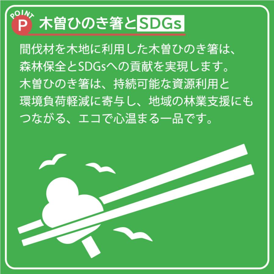 木曽ひのき箸 白木 10膳セット お箸 木製 無塗装 木地 軽い 木曽ヒノキ