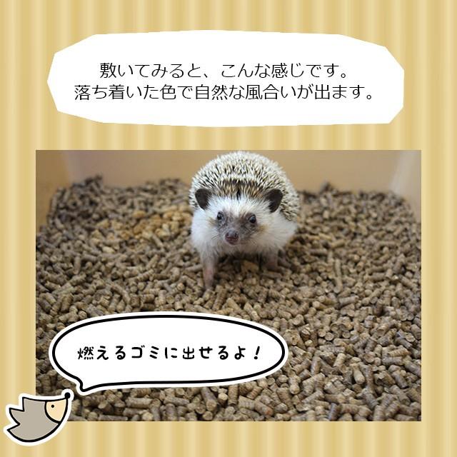 はりねずみんみん共和国 どんぐりリター 5リットル ハリネズミが掘って