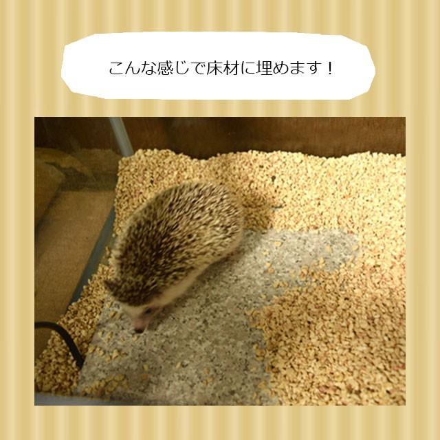 みどり商会 ハリネズミ用床暖房 もぐりっち Sサイズ Hari Goods Mogurich S はりねずみんみん共和国 通販 Yahoo ショッピング