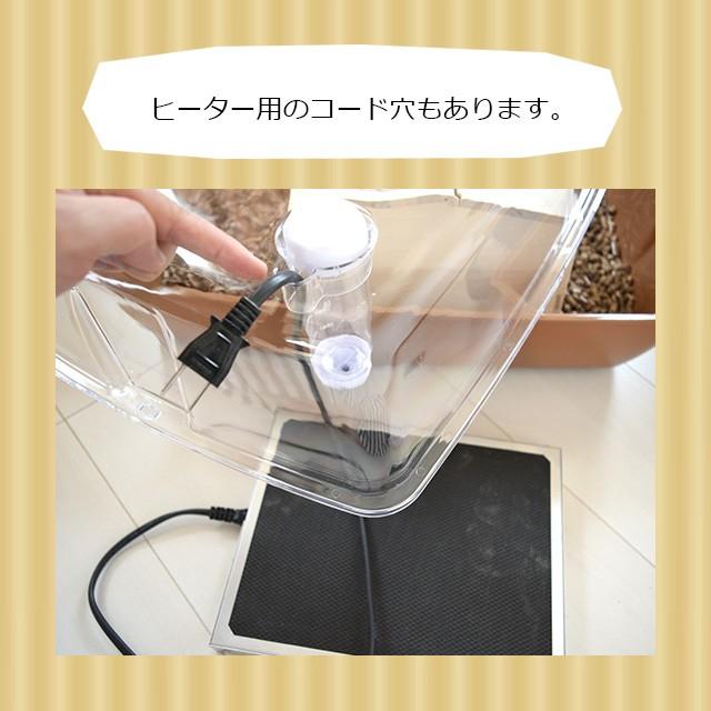 68 以上節約 マルカン Casa マルチプレイス ハリネズミ専用ケージ おしゃれ 大型商品 Shipsctc Org