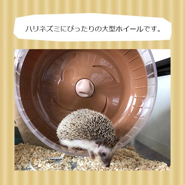 マルカン Casa 静音ホイール31 子どもでも使える ハリネズミ用ホイール 回し車 Hari Goods Wheel Casa 31 はりねずみんみん共和国 通販 Yahoo ショッピング