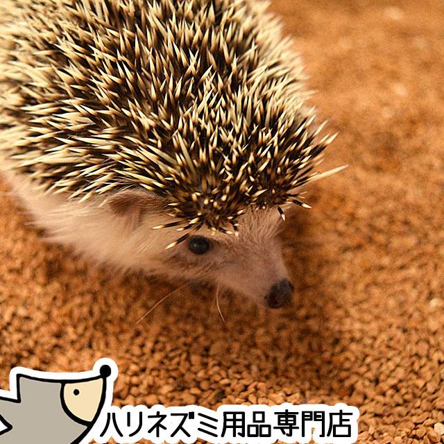 はりねずみんみん共和国 くるみリター・クルミリター 5リットル ハリネズミが掘って遊べる床材 クルミデザートサンド オリジナル床材 夏のおすすめ｜harinezumin2