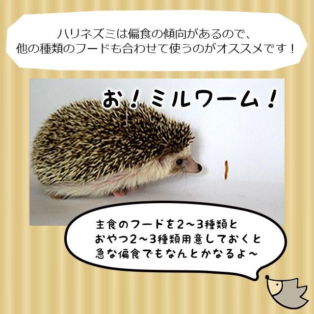 Mazuri マズリ ハリネズミ専用バランスフード 450g Mazuri はりねずみんみん共和国 通販 Yahoo ショッピング