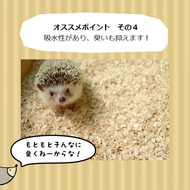 はりねずみんみん共和国 ホワイトポプラチップ 5リットル アスペンチップ ハリネズミの床材 オリジナル床材 Popura はりねずみんみん共和国 通販 Yahoo ショッピング
