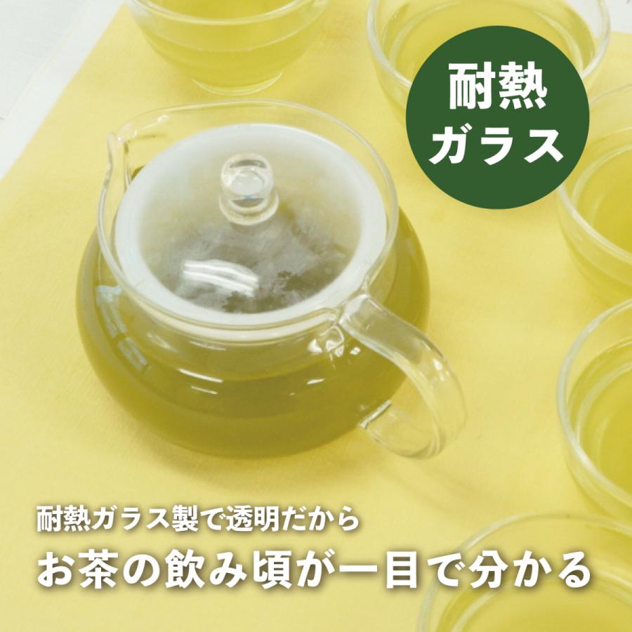 急須 おしゃれ ガラス 茶茶急須丸 AYAORI ハリオ  耐熱 食洗機対応 ティーポット 450ml 日本製 洗いやすい HARIO 公式｜hariopartscenter｜15