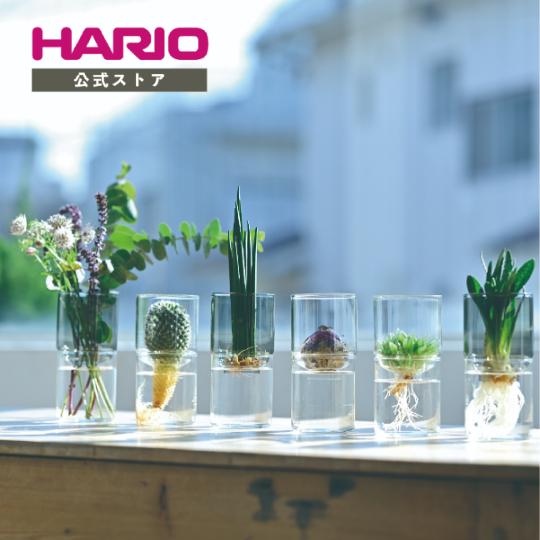 HARIO 公式 花瓶 ガラスの花器 ガラスのある生活 ハリオ 水耕栽培 耐熱